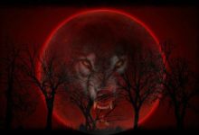 Photo of «Полнолуние: Вечное проклятие»