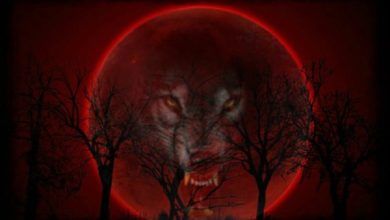 Photo of «Полнолуние: Вечное проклятие»