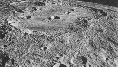 Photo of «Под луной: Тайны оборотней»