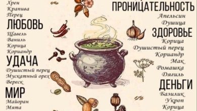 Photo of Чародейки: магия ведьм